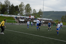 vvilgrykam08 (19)